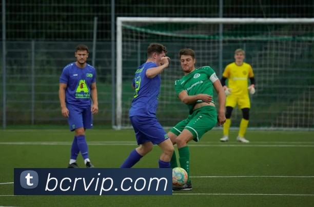 BCR娱乐城官网平台生态图